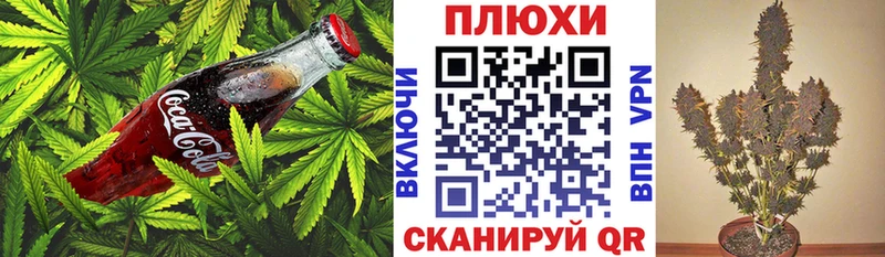 mega рабочий сайт  где можно купить   Кореновск  Cannafood марихуана 