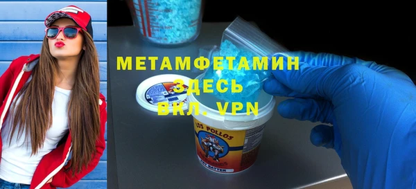 шишки Белокуриха