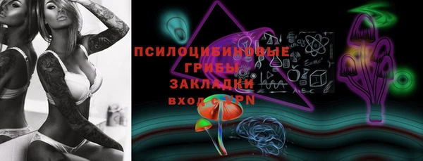 ГАЛЛЮЦИНОГЕННЫЕ ГРИБЫ Богородск
