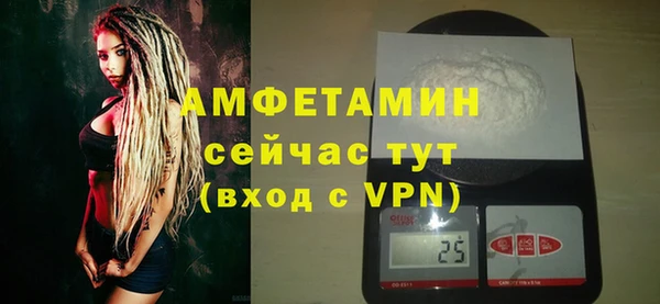 шишки Белокуриха