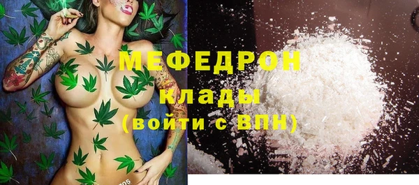 шишки Белокуриха