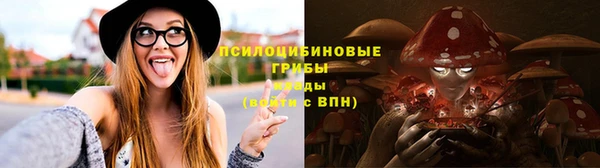 сатива Богданович