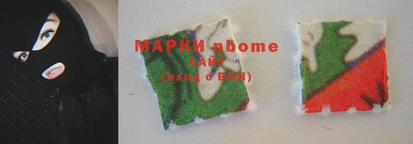 шишки Белокуриха