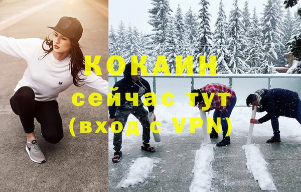 шишки Белокуриха