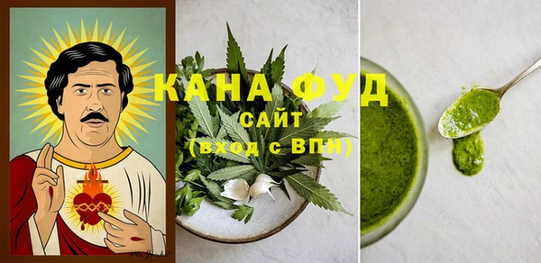 шишки Белокуриха